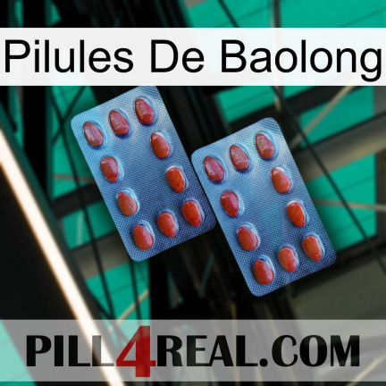 Baolong Pills 05